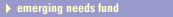 Emerging Needs Fund